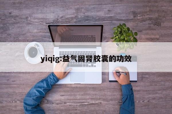 yiqig:益气固肾胶囊的功效